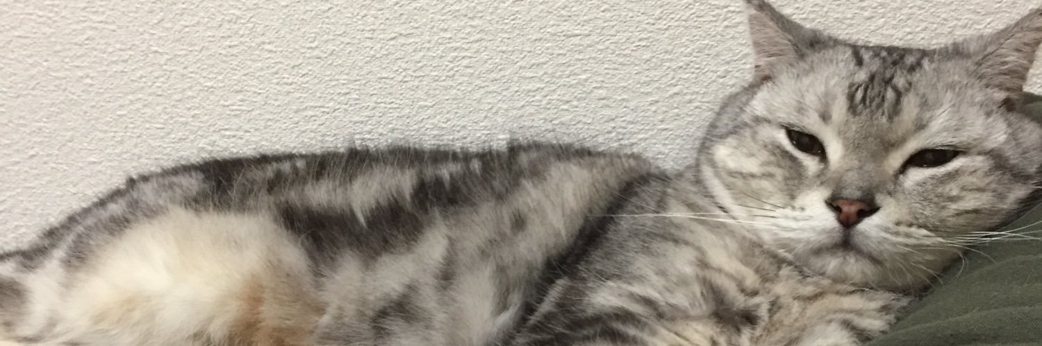 KoheFj's profile banner image
