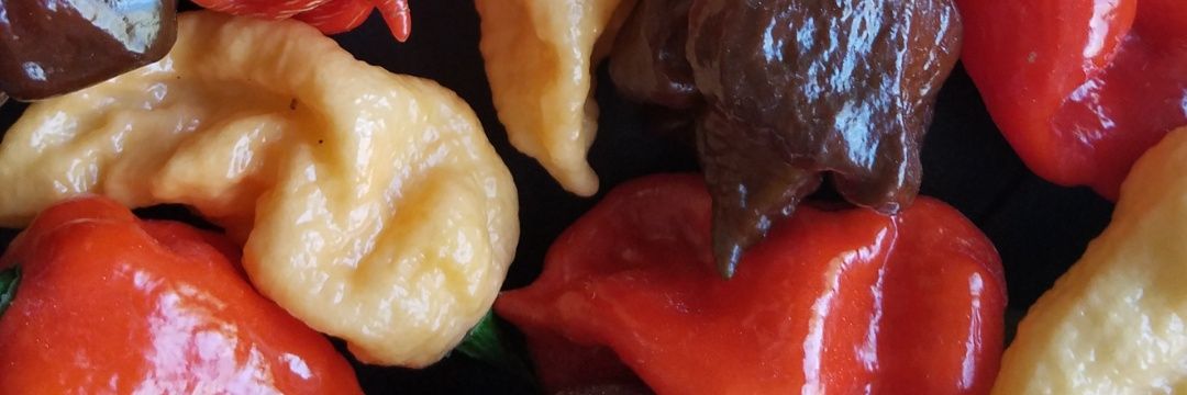 terry beaulac banner