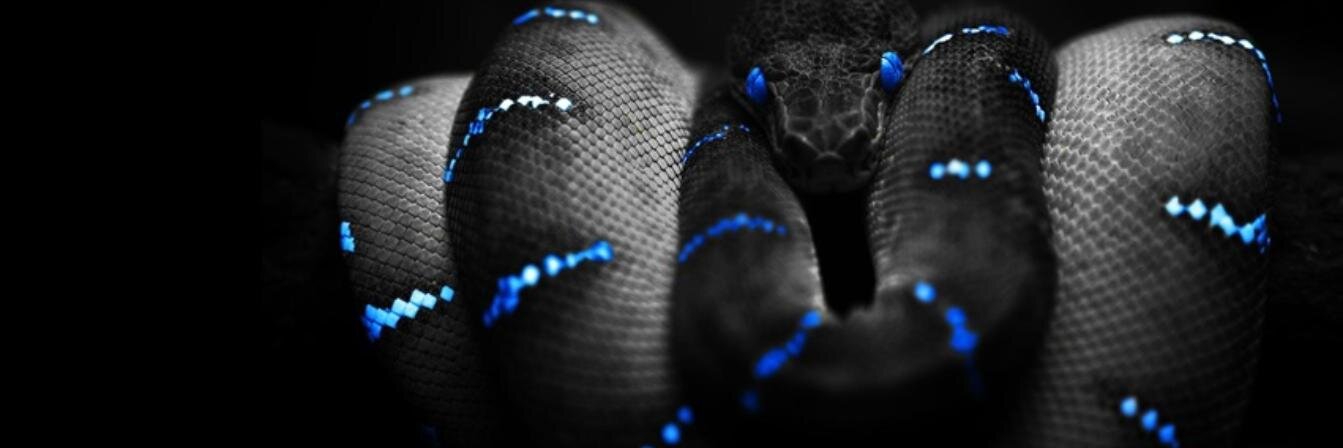 Sebaseslo's profile banner image