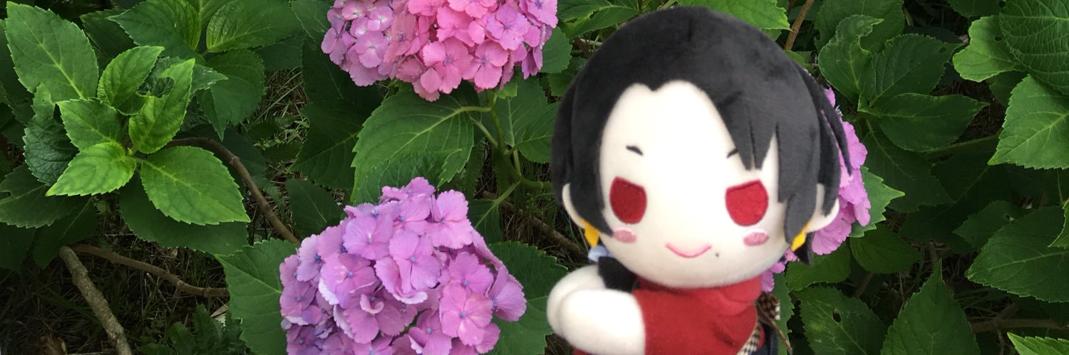 amfmsui's profile banner image