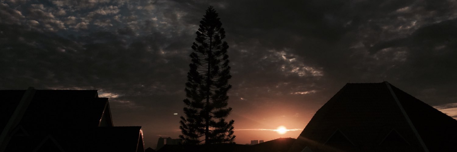 TangShynee's profile banner image