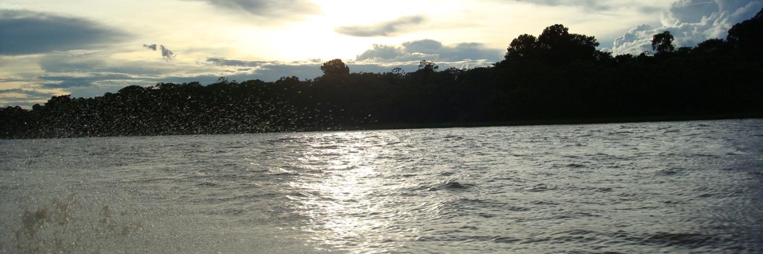 AlexRChaparro's profile banner image