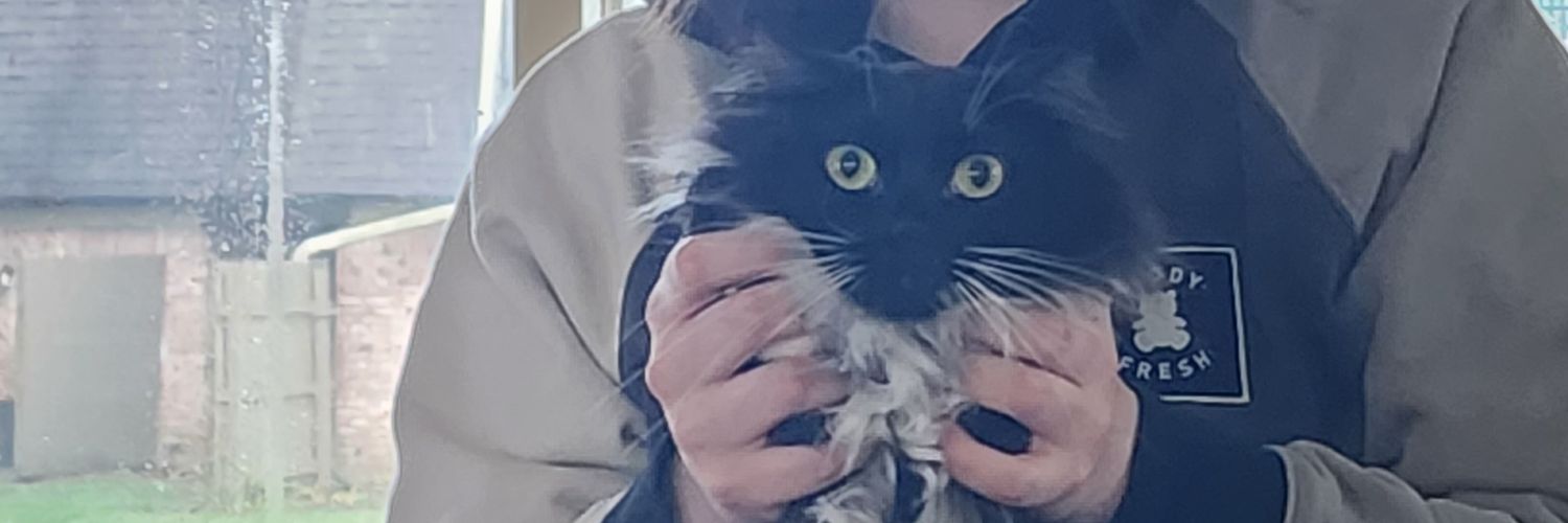 GNARC0TICS's profile banner image