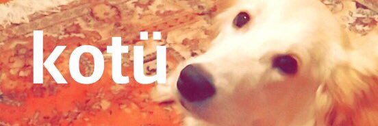 elocu1's profile banner image