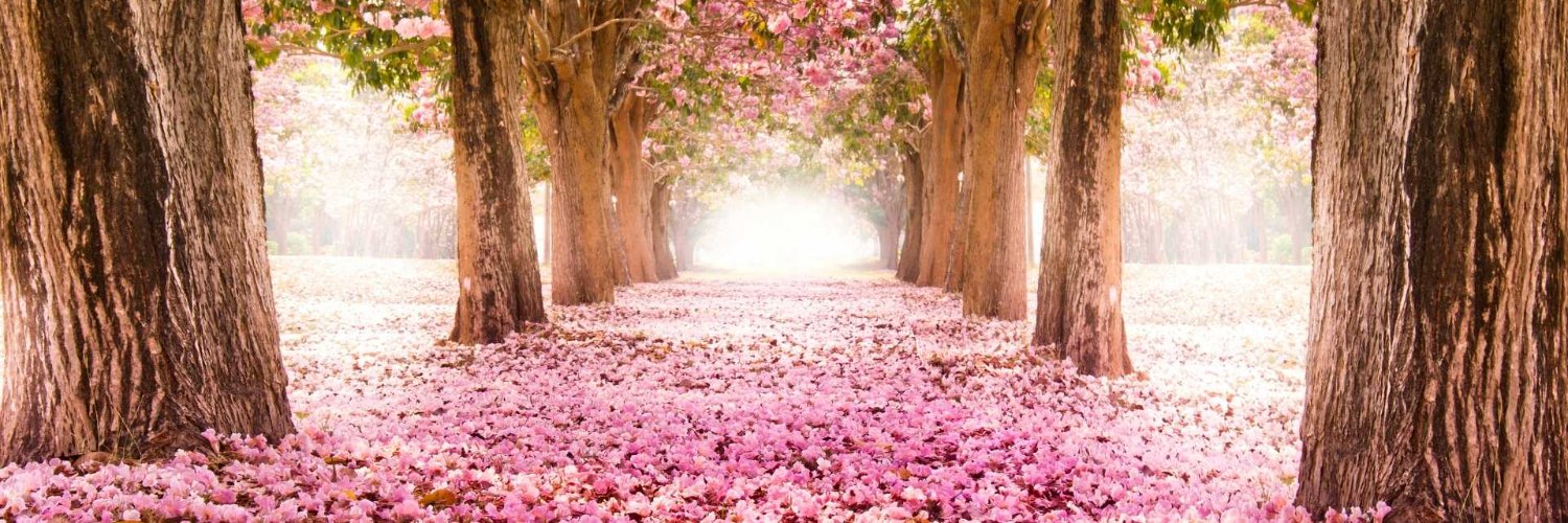 VoiceofDeborah's profile banner image