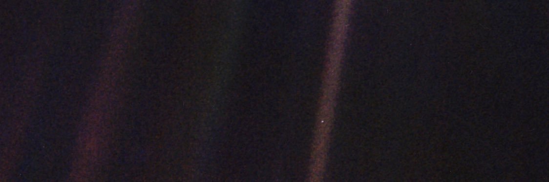 a common sense voice banner