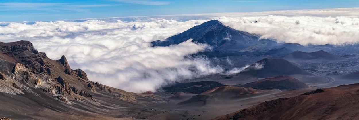 Cyrus Tehrani banner