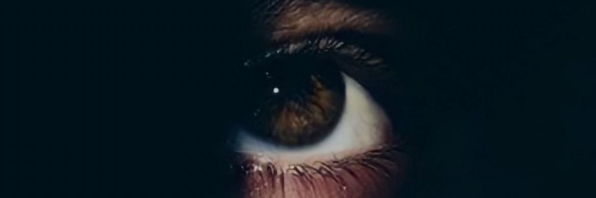 Bob. Not Builder banner