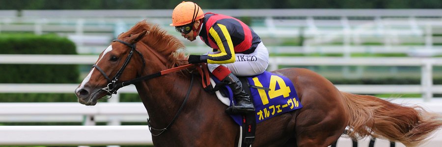 まなか弘夢 banner