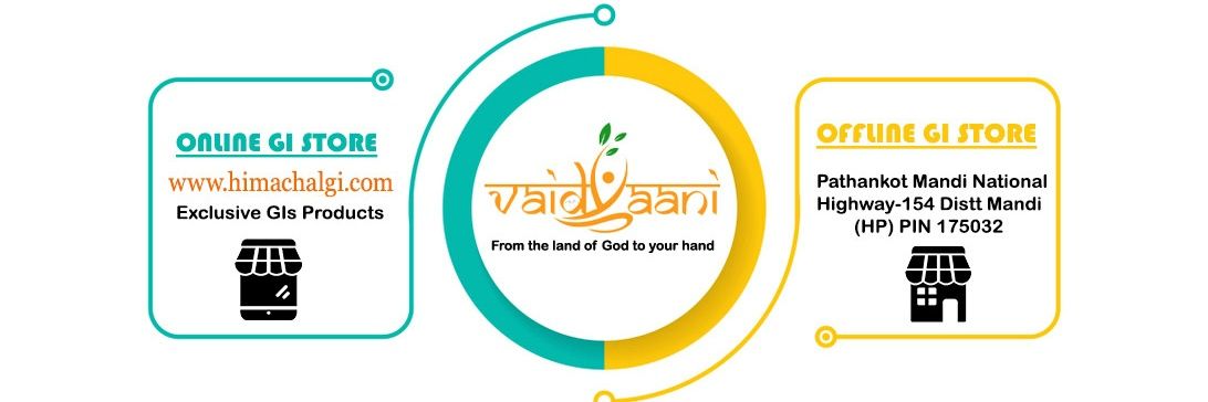 vaidyaani's profile banner image