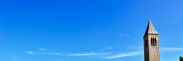 nicemalovic Profile Banner