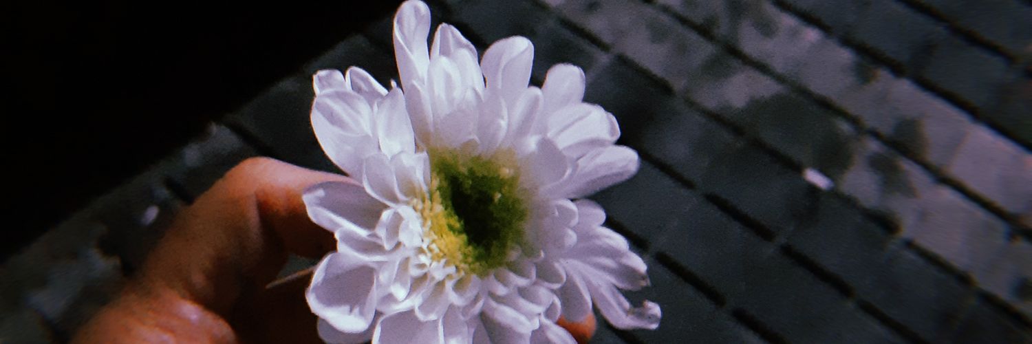 summpol's profile banner image