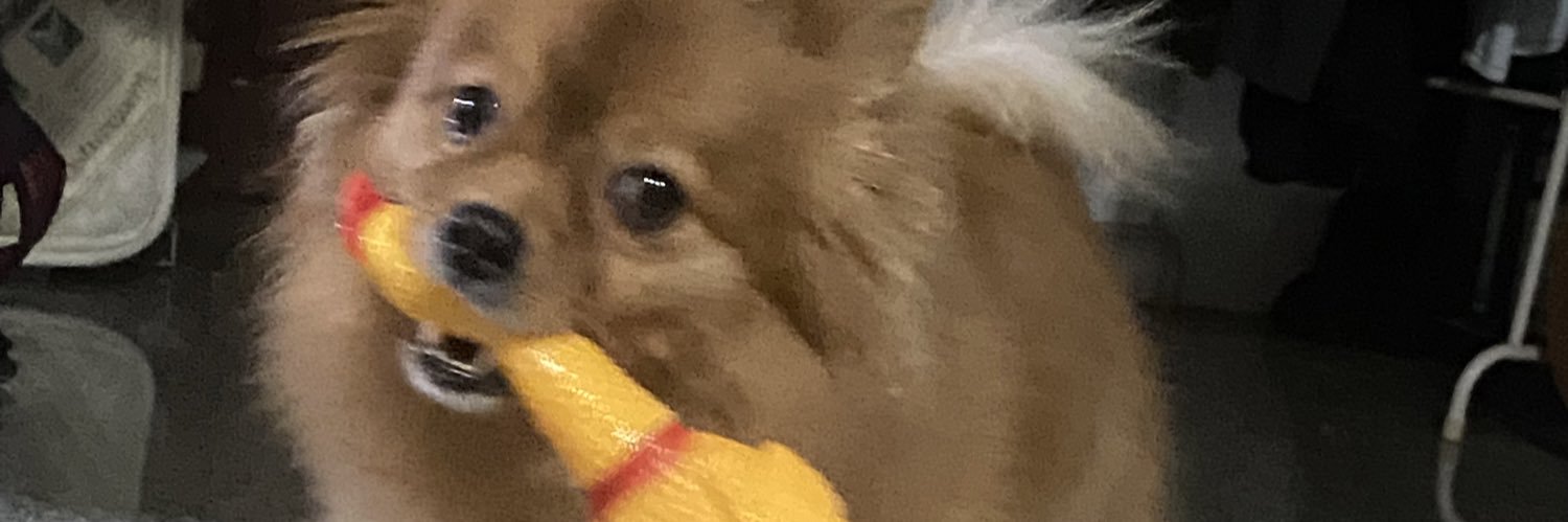 Bbammp's profile banner image