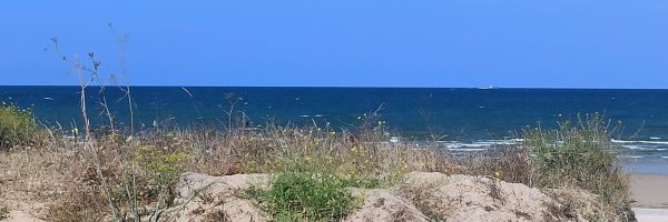 PascalJanTweets's profile banner image