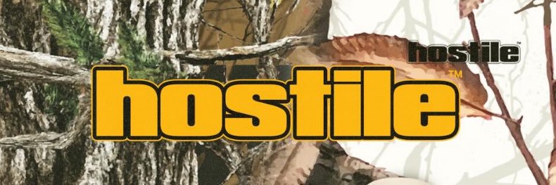𝖍𝖔𝖘𝖙𝖎𝖑𝖊 banner