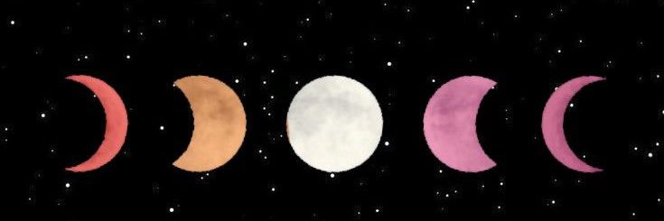 XNightCreature's profile banner image