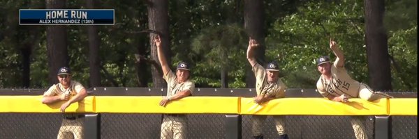 GTBaseball Profile Banner