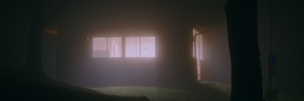 hayashiwithcats Profile Banner