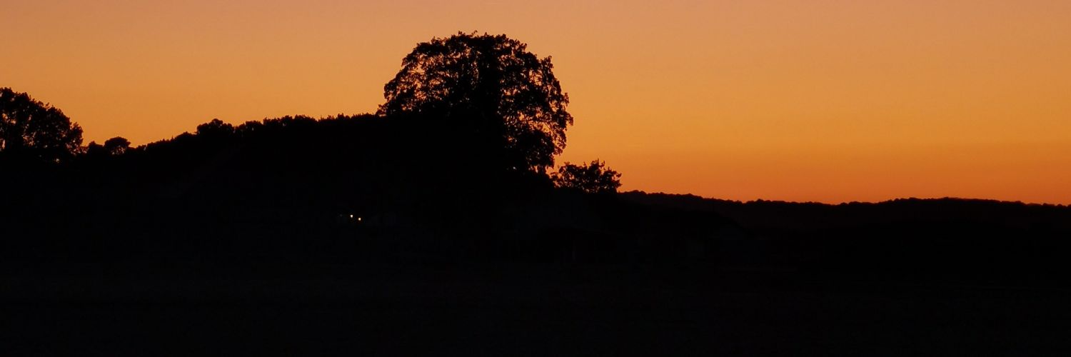 DubosHugo's profile banner image