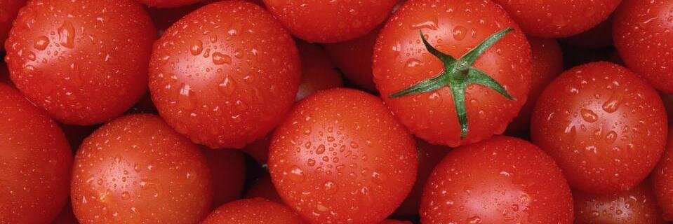 tomatotes's profile banner image
