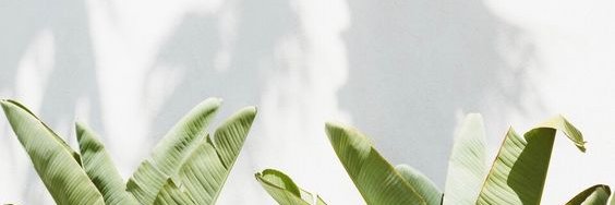 DMCopperman's profile banner image
