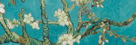 Opugnotravis_'s profile banner image