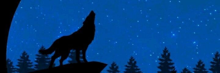 〽 الساري〽 F banner