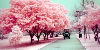 maruyemba's profile banner image