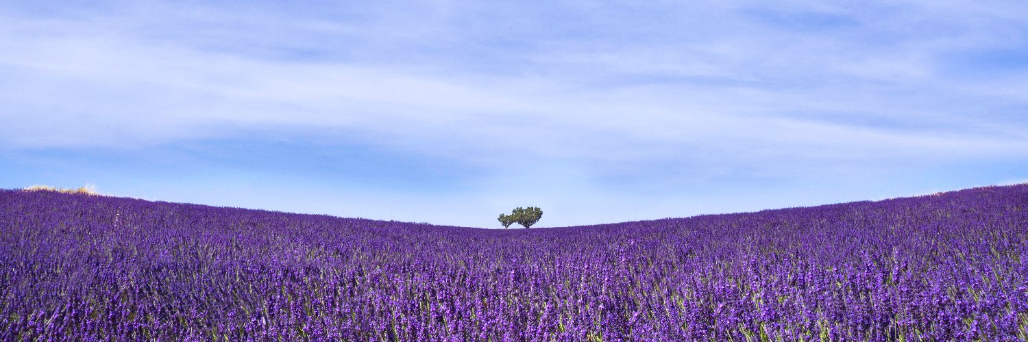 butunseltip's profile banner image