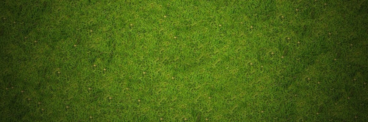 eren logoglu banner