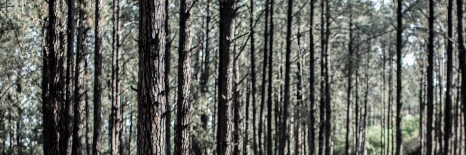 Filtsion's profile banner image