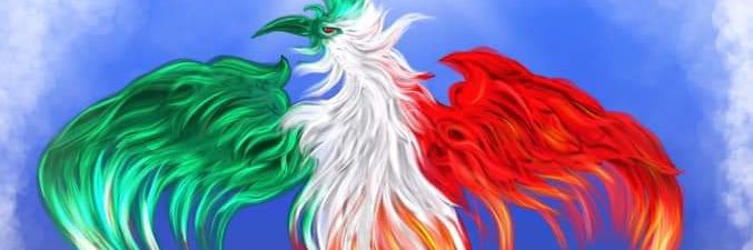 Claudio Binnella banner