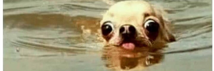 upsicienta's profile banner image
