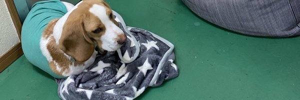 F3splatter Profile Banner