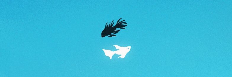 dulsetnamjoon's profile banner image