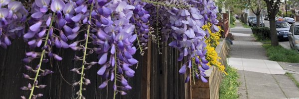 chandler_suth Profile Banner