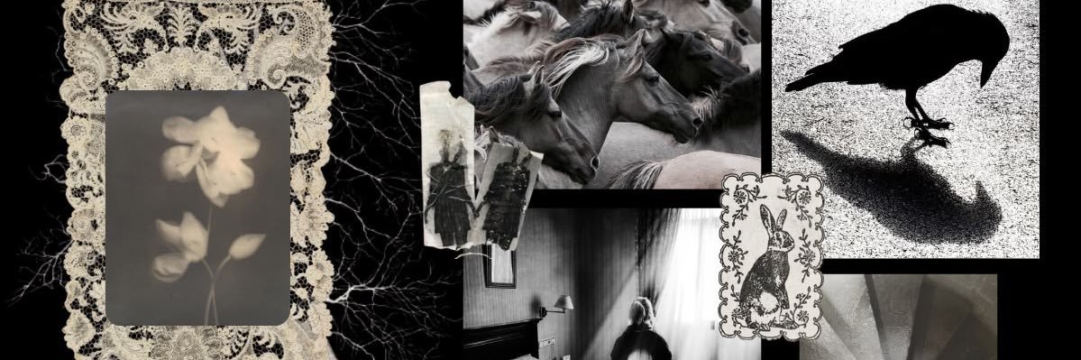 mediaesh's profile banner image