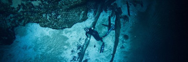 NinjaMermaidina Profile Banner