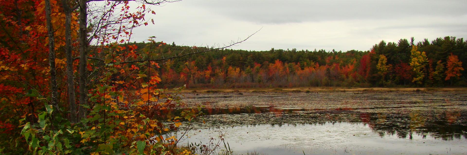 JaredEDuncan's profile banner image