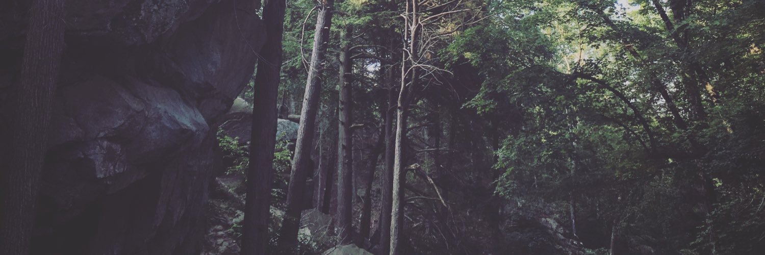 Nick_Sarnelli's profile banner image