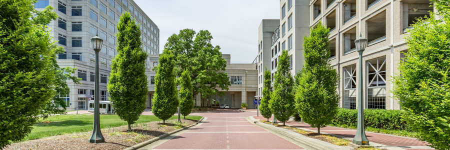 Duke Hematologic Malignancies & Cellular Therapy's banner