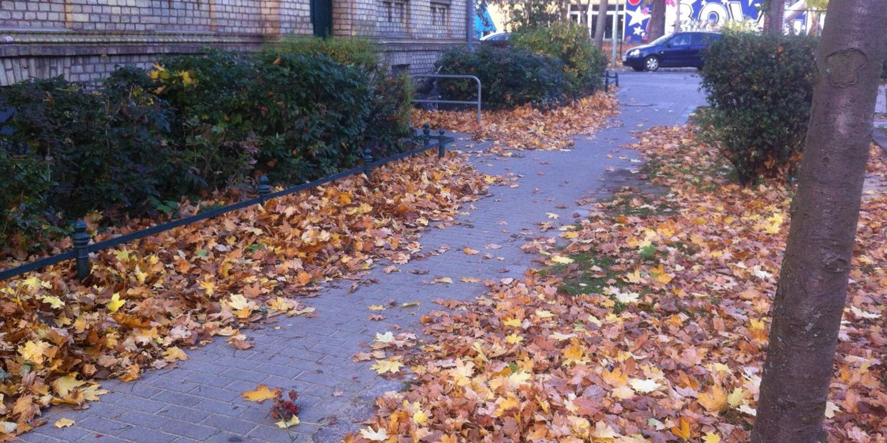 Peter Vishnyakov banner