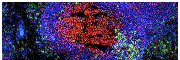 LabMelnick Profile Banner