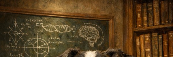 ToHoangVu's profile banner image