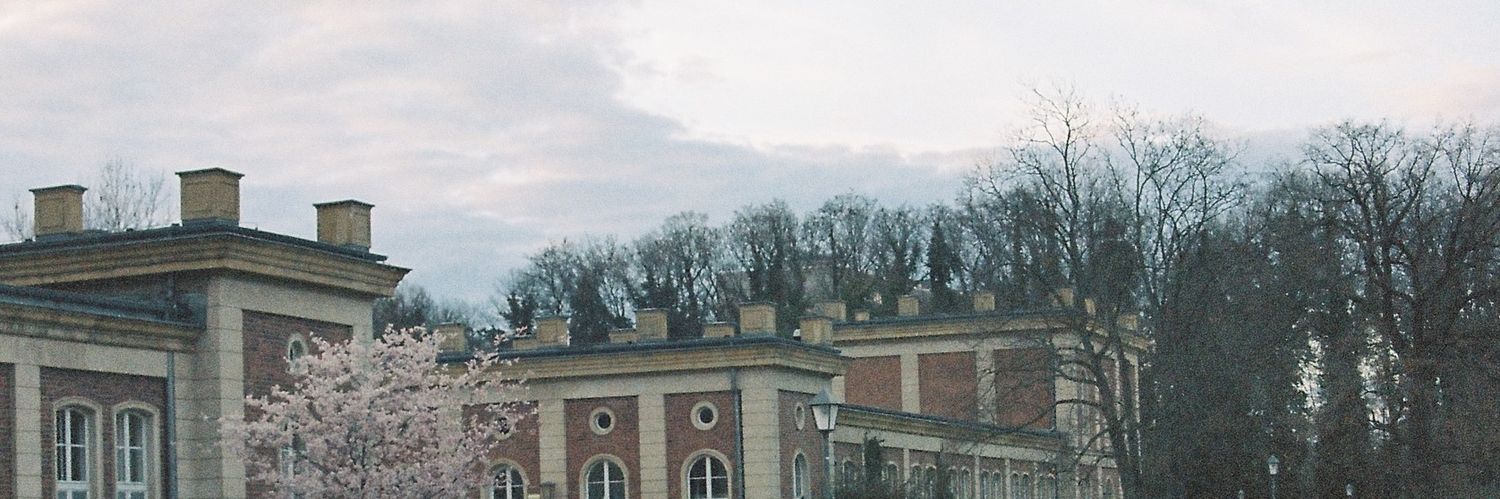 bymybones's profile banner image