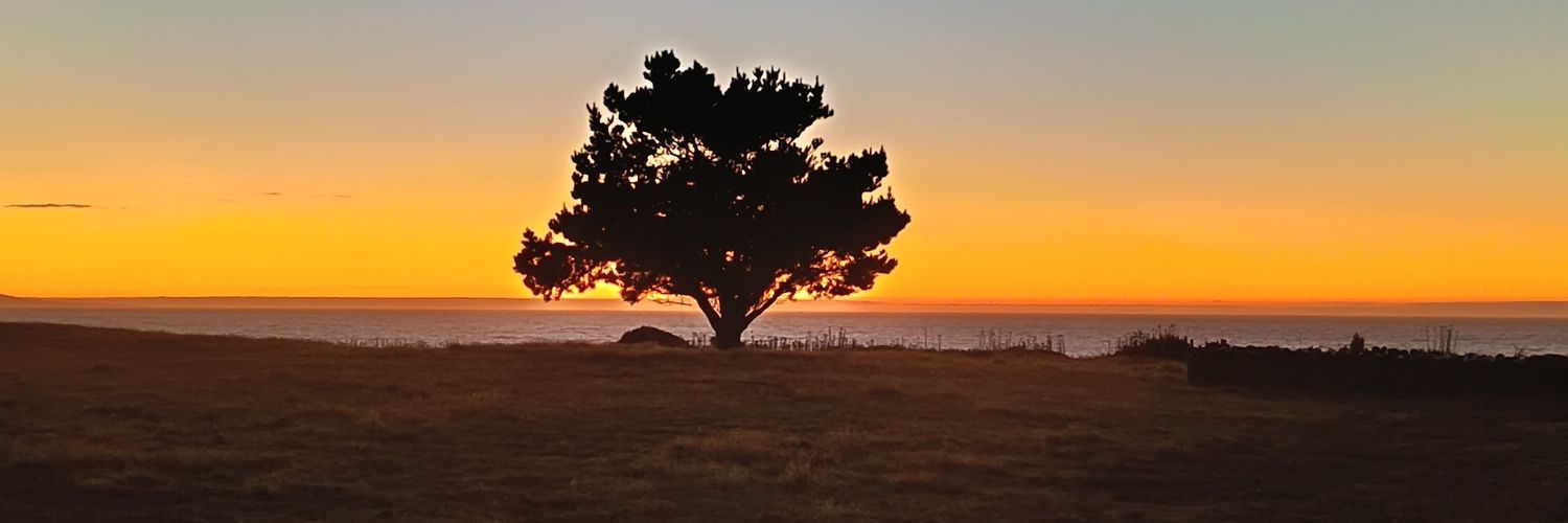 Cristobal Romero banner