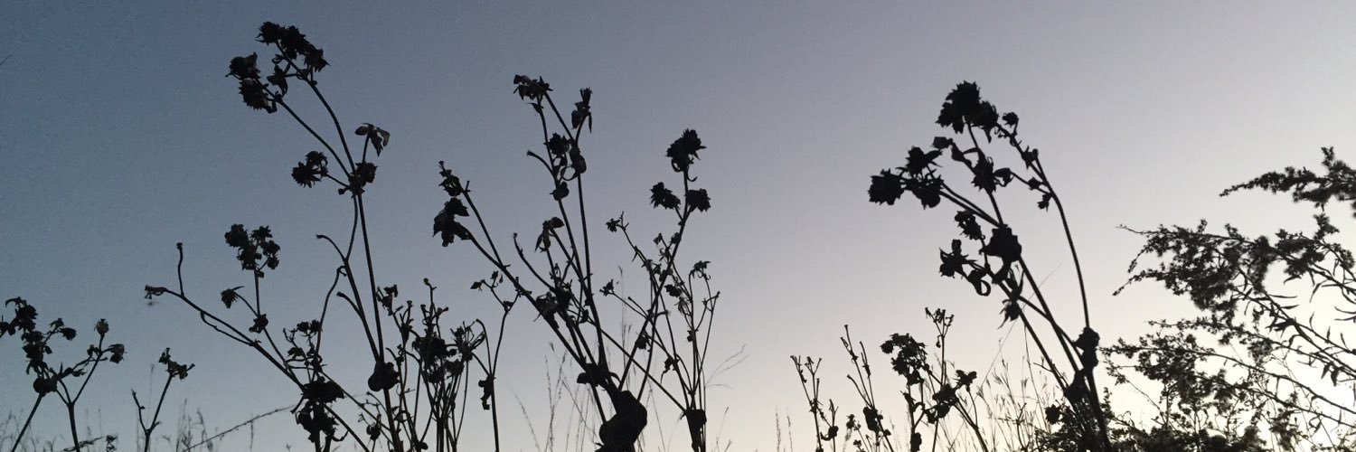 UW–Madison Science banner