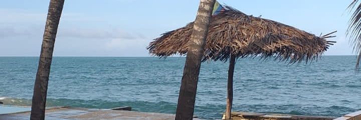 zarelys's profile banner image