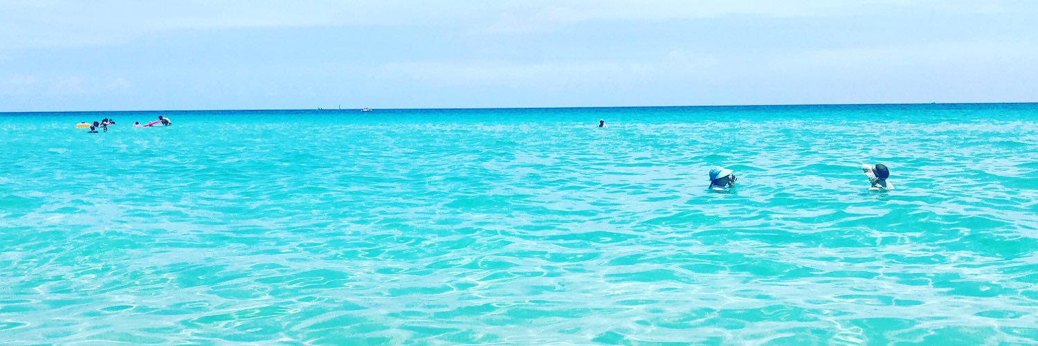MapisDiaz's profile banner image