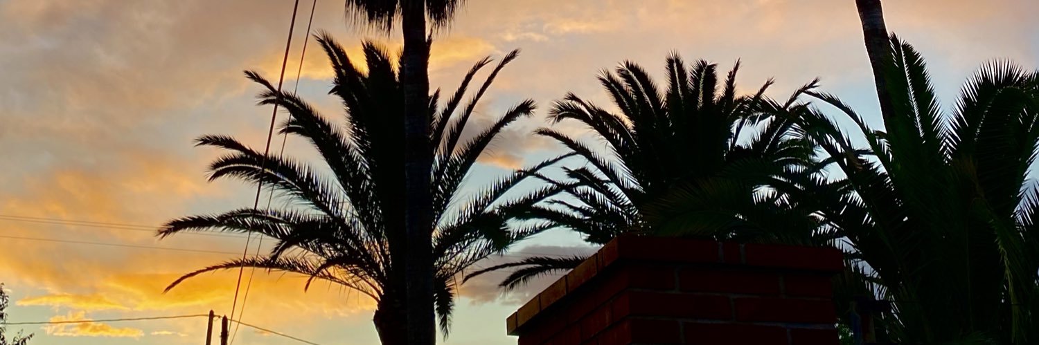 MartinezCardosa's profile banner image
